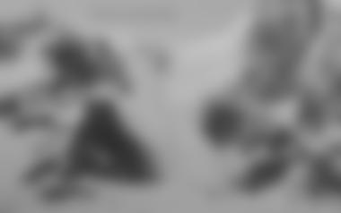 Die Direkte Nordwand oder auch Vanis-Ausstieg an der Hochferner Nordwand gelang Ericht 1949.