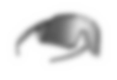 Dynafit Sky Sonnenbrille - Damen