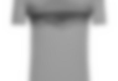 Icebreaker Tech Lite Short Sleeve Crewe Cook Reflected