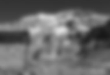 Die Route von Karl Egloff und Nicholàs Miranda an der Aconcagua Südwand